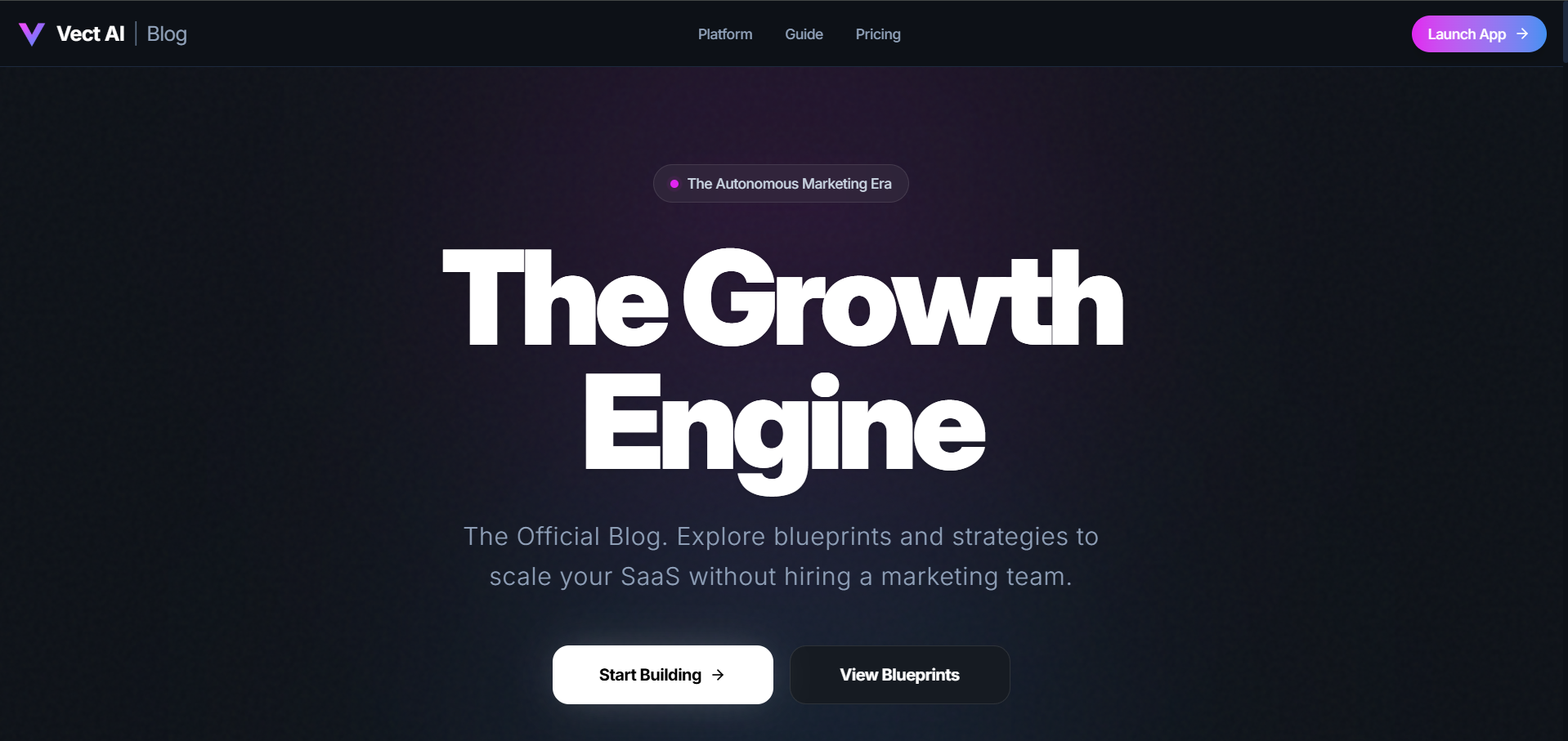 VectBlog preview